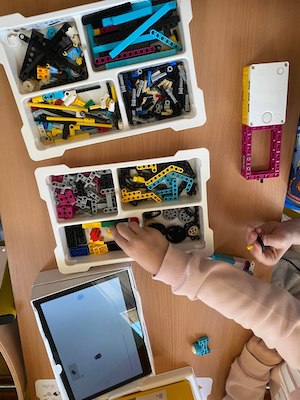 317308214 660044262280428 724832031683367196 n